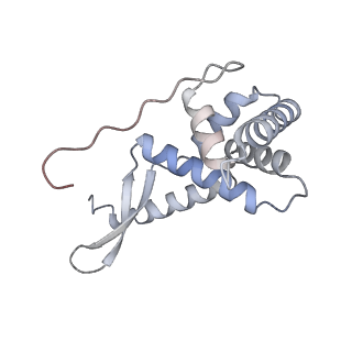 4077_5lmr_G_v1-2
Structure of bacterial 30S-IF1-IF3-mRNA-tRNA translation pre-initiation complex(state-2B)