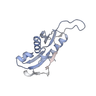 4077_5lmr_H_v1-2
Structure of bacterial 30S-IF1-IF3-mRNA-tRNA translation pre-initiation complex(state-2B)