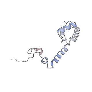 4077_5lmr_M_v1-2
Structure of bacterial 30S-IF1-IF3-mRNA-tRNA translation pre-initiation complex(state-2B)