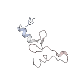 4077_5lmr_N_v1-2
Structure of bacterial 30S-IF1-IF3-mRNA-tRNA translation pre-initiation complex(state-2B)