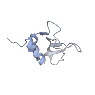 4077_5lmr_P_v1-2
Structure of bacterial 30S-IF1-IF3-mRNA-tRNA translation pre-initiation complex(state-2B)