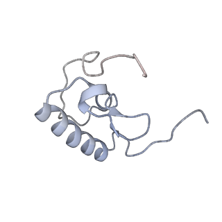 4077_5lmr_R_v1-2
Structure of bacterial 30S-IF1-IF3-mRNA-tRNA translation pre-initiation complex(state-2B)