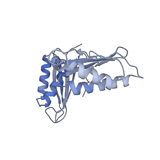 4079_5lmt_C_v1-3
Structure of bacterial 30S-IF1-IF3-mRNA-tRNA translation pre-initiation complex(state-3)