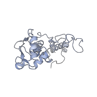 4079_5lmt_D_v1-3
Structure of bacterial 30S-IF1-IF3-mRNA-tRNA translation pre-initiation complex(state-3)
