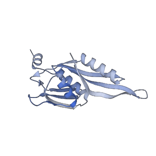 4079_5lmt_E_v1-3
Structure of bacterial 30S-IF1-IF3-mRNA-tRNA translation pre-initiation complex(state-3)
