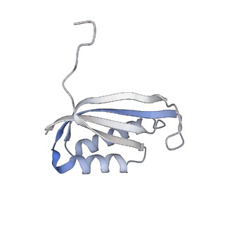4079_5lmt_F_v1-3
Structure of bacterial 30S-IF1-IF3-mRNA-tRNA translation pre-initiation complex(state-3)