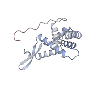 4079_5lmt_G_v1-3
Structure of bacterial 30S-IF1-IF3-mRNA-tRNA translation pre-initiation complex(state-3)