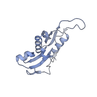 4079_5lmt_H_v1-3
Structure of bacterial 30S-IF1-IF3-mRNA-tRNA translation pre-initiation complex(state-3)
