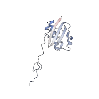 4079_5lmt_I_v1-3
Structure of bacterial 30S-IF1-IF3-mRNA-tRNA translation pre-initiation complex(state-3)