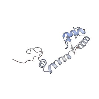 4079_5lmt_M_v1-3
Structure of bacterial 30S-IF1-IF3-mRNA-tRNA translation pre-initiation complex(state-3)