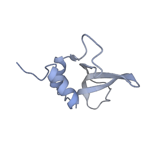 4079_5lmt_P_v1-3
Structure of bacterial 30S-IF1-IF3-mRNA-tRNA translation pre-initiation complex(state-3)