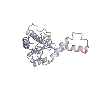 4080_5lmu_B_v1-3
Structure of bacterial 30S-IF3-mRNA-tRNA translation pre-initiation complex, closed form (state-4)