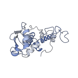 4080_5lmu_D_v1-3
Structure of bacterial 30S-IF3-mRNA-tRNA translation pre-initiation complex, closed form (state-4)