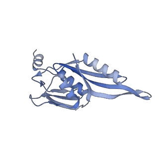 4080_5lmu_E_v1-3
Structure of bacterial 30S-IF3-mRNA-tRNA translation pre-initiation complex, closed form (state-4)