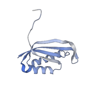 4080_5lmu_F_v1-3
Structure of bacterial 30S-IF3-mRNA-tRNA translation pre-initiation complex, closed form (state-4)
