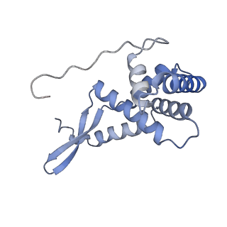 4080_5lmu_G_v1-3
Structure of bacterial 30S-IF3-mRNA-tRNA translation pre-initiation complex, closed form (state-4)