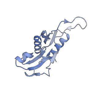 4080_5lmu_H_v1-3
Structure of bacterial 30S-IF3-mRNA-tRNA translation pre-initiation complex, closed form (state-4)