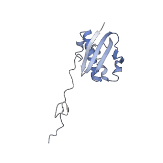 4080_5lmu_I_v1-3
Structure of bacterial 30S-IF3-mRNA-tRNA translation pre-initiation complex, closed form (state-4)