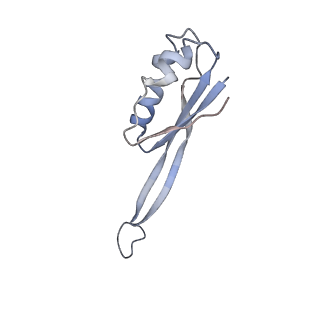 4080_5lmu_J_v1-3
Structure of bacterial 30S-IF3-mRNA-tRNA translation pre-initiation complex, closed form (state-4)