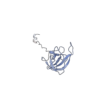 4080_5lmu_L_v1-3
Structure of bacterial 30S-IF3-mRNA-tRNA translation pre-initiation complex, closed form (state-4)