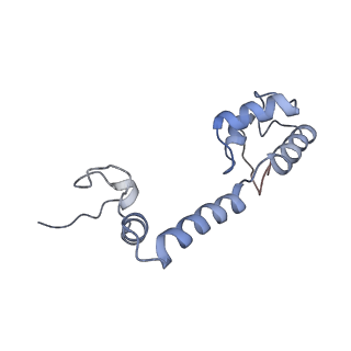 4080_5lmu_M_v1-3
Structure of bacterial 30S-IF3-mRNA-tRNA translation pre-initiation complex, closed form (state-4)