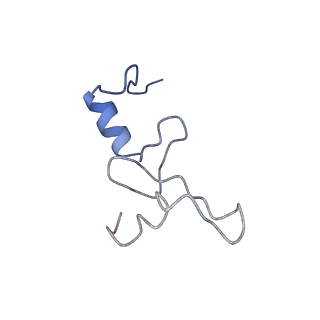 4080_5lmu_N_v1-3
Structure of bacterial 30S-IF3-mRNA-tRNA translation pre-initiation complex, closed form (state-4)