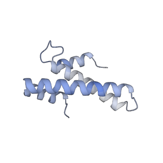 4080_5lmu_O_v1-3
Structure of bacterial 30S-IF3-mRNA-tRNA translation pre-initiation complex, closed form (state-4)