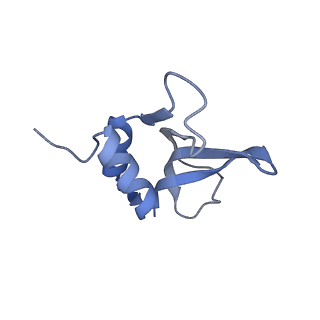 4080_5lmu_P_v1-3
Structure of bacterial 30S-IF3-mRNA-tRNA translation pre-initiation complex, closed form (state-4)