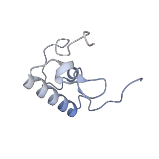 4080_5lmu_R_v1-3
Structure of bacterial 30S-IF3-mRNA-tRNA translation pre-initiation complex, closed form (state-4)