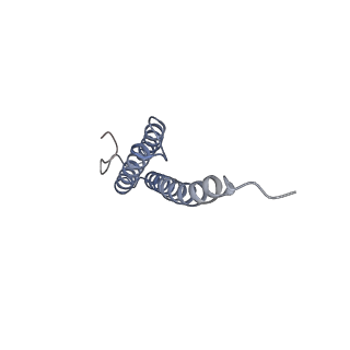 4080_5lmu_T_v1-3
Structure of bacterial 30S-IF3-mRNA-tRNA translation pre-initiation complex, closed form (state-4)