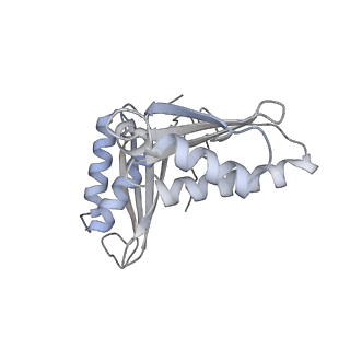 4083_5lmv_C_v1-3
Structure of bacterial 30S-IF1-IF2-IF3-mRNA-tRNA translation pre-initiation complex(state-III)