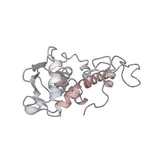 4083_5lmv_D_v1-3
Structure of bacterial 30S-IF1-IF2-IF3-mRNA-tRNA translation pre-initiation complex(state-III)