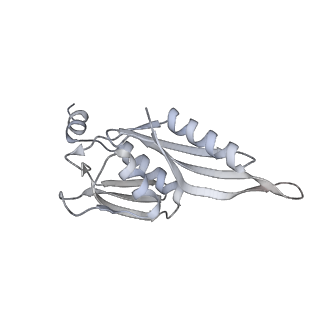 4083_5lmv_E_v1-3
Structure of bacterial 30S-IF1-IF2-IF3-mRNA-tRNA translation pre-initiation complex(state-III)