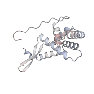 4083_5lmv_G_v1-3
Structure of bacterial 30S-IF1-IF2-IF3-mRNA-tRNA translation pre-initiation complex(state-III)