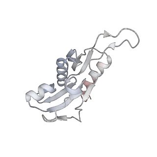 4083_5lmv_H_v1-3
Structure of bacterial 30S-IF1-IF2-IF3-mRNA-tRNA translation pre-initiation complex(state-III)