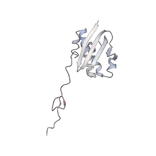 4083_5lmv_I_v1-3
Structure of bacterial 30S-IF1-IF2-IF3-mRNA-tRNA translation pre-initiation complex(state-III)