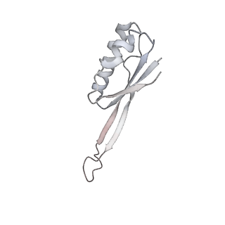 4083_5lmv_J_v1-3
Structure of bacterial 30S-IF1-IF2-IF3-mRNA-tRNA translation pre-initiation complex(state-III)