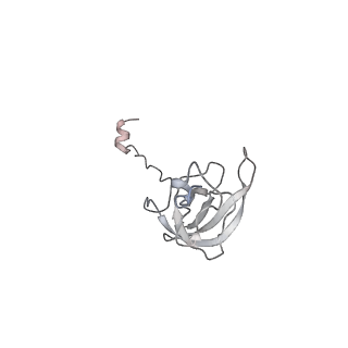 4083_5lmv_L_v1-3
Structure of bacterial 30S-IF1-IF2-IF3-mRNA-tRNA translation pre-initiation complex(state-III)