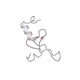 4083_5lmv_N_v1-3
Structure of bacterial 30S-IF1-IF2-IF3-mRNA-tRNA translation pre-initiation complex(state-III)