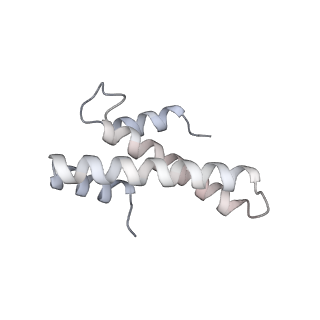 4083_5lmv_O_v1-3
Structure of bacterial 30S-IF1-IF2-IF3-mRNA-tRNA translation pre-initiation complex(state-III)