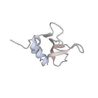 4083_5lmv_P_v1-3
Structure of bacterial 30S-IF1-IF2-IF3-mRNA-tRNA translation pre-initiation complex(state-III)