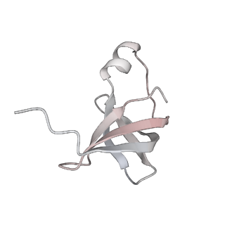 4083_5lmv_W_v1-3
Structure of bacterial 30S-IF1-IF2-IF3-mRNA-tRNA translation pre-initiation complex(state-III)