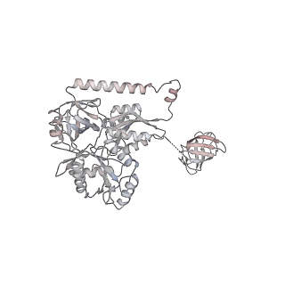 4083_5lmv_a_v1-3
Structure of bacterial 30S-IF1-IF2-IF3-mRNA-tRNA translation pre-initiation complex(state-III)