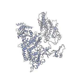 4088_5lmx_A_v1-3
Monomeric RNA polymerase I at 4.9 A resolution