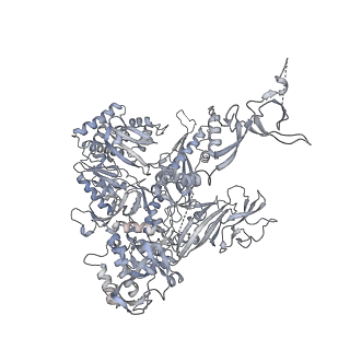 4088_5lmx_B_v1-3
Monomeric RNA polymerase I at 4.9 A resolution