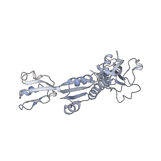 4088_5lmx_C_v1-3
Monomeric RNA polymerase I at 4.9 A resolution