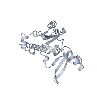 4088_5lmx_E_v1-3
Monomeric RNA polymerase I at 4.9 A resolution