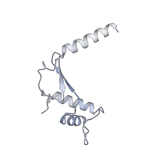 4088_5lmx_F_v1-3
Monomeric RNA polymerase I at 4.9 A resolution