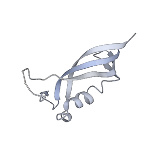4088_5lmx_G_v1-3
Monomeric RNA polymerase I at 4.9 A resolution