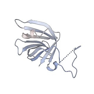 4088_5lmx_H_v1-3
Monomeric RNA polymerase I at 4.9 A resolution